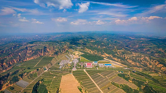 专家座谈共绘戎子酒庄产业数字化升级与智能发展新蓝图 区块链与大数据溯源系统的创新应用